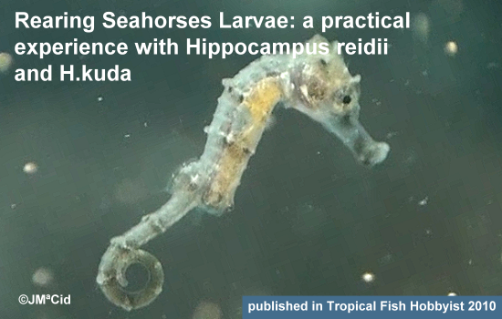 Rearing Sea Horses Larvae A practical experience breeding Hippocampus kuda & H. reidii