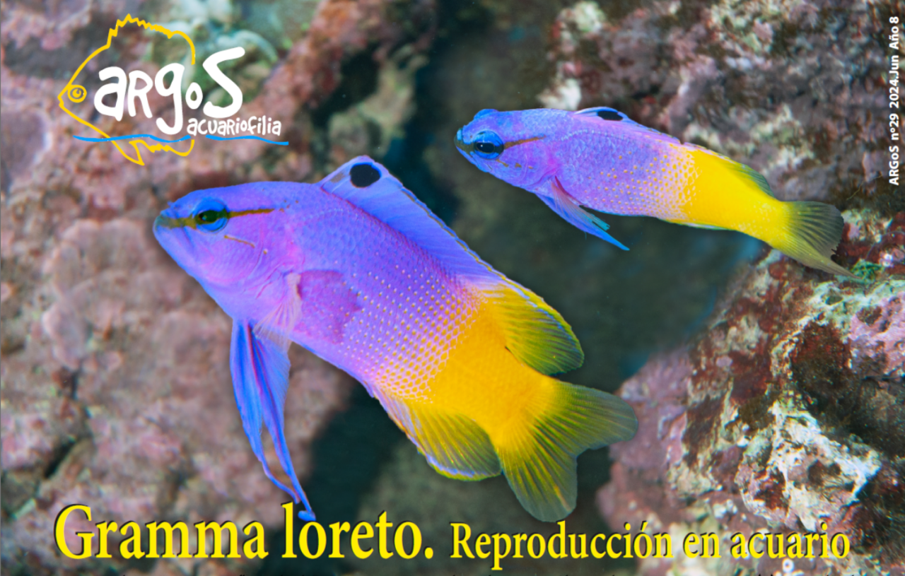 Publicaciones - Aquatic Notes