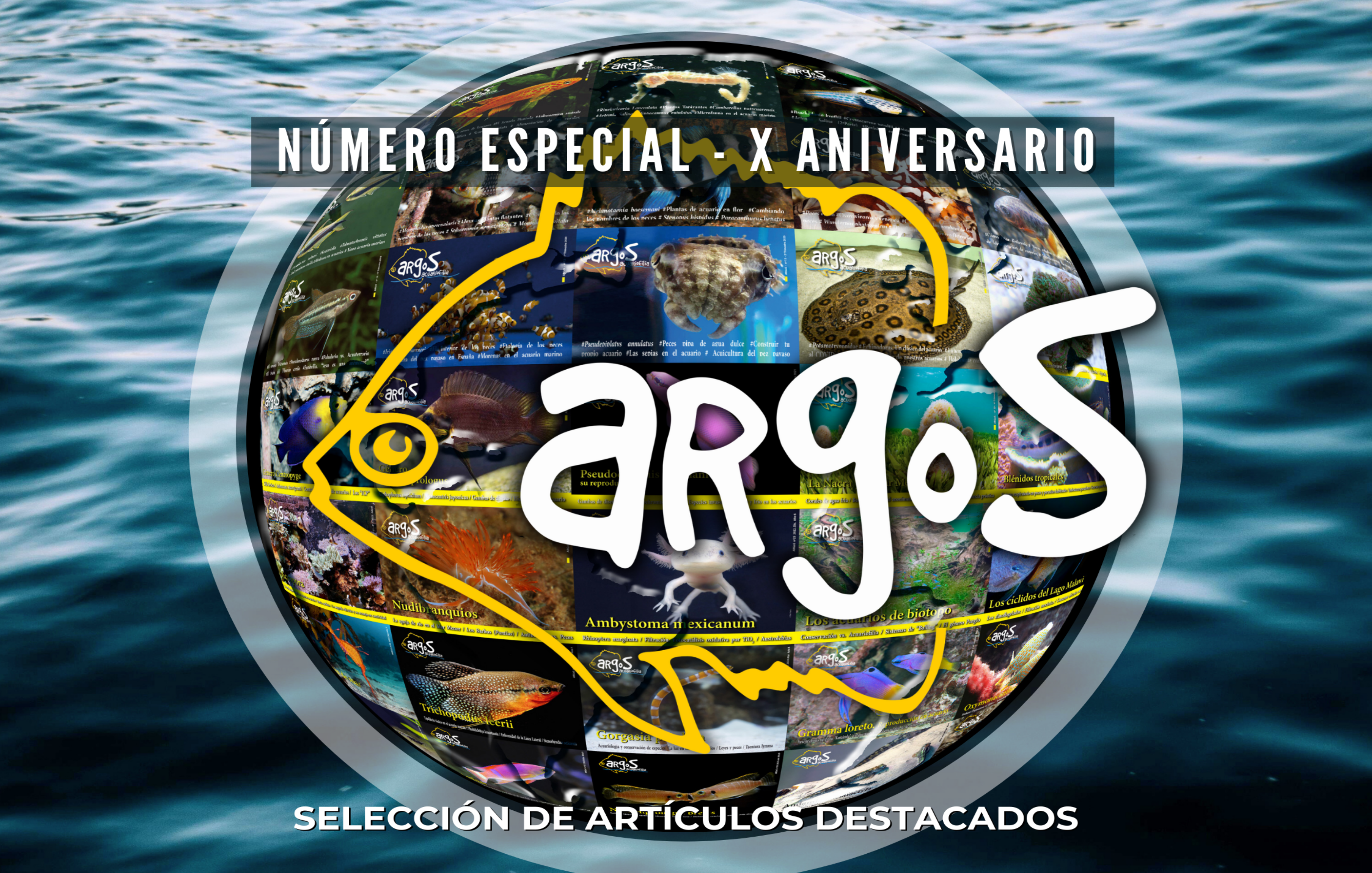 Argos nº36