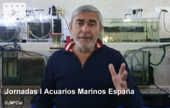 Jornadas I Acuarios Marinos España