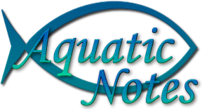 Aquatic Notes