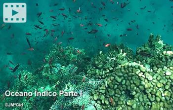 Océano Índico
